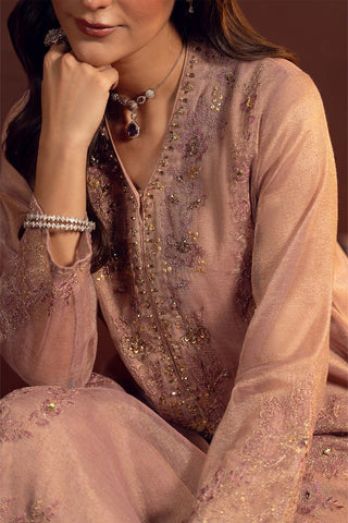 3 Piece Emboss Net Embroidered Suit (FL0227)