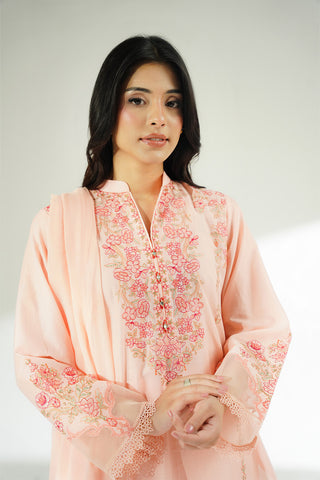 3 Piece Lawn Embroidered Suit (CS0630)