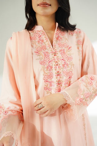 3 Piece Lawn Embroidered Suit (CS0630)