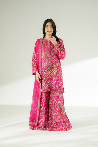 3 Piece Printed Lawn Embroidered Suit (CS0642)
