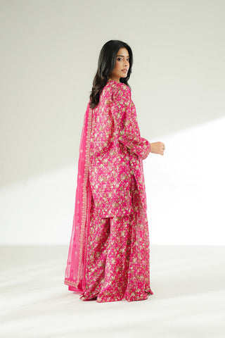 3 Piece Printed Lawn Embroidered Suit (CS0642)