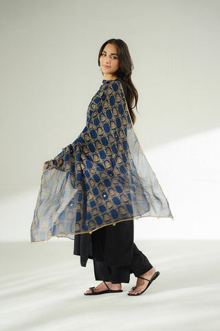 1 Piece Chiffon Printed (CO0047)