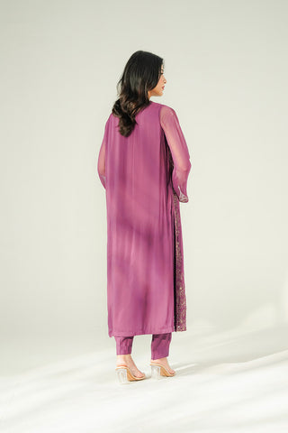 2 Piece Chiffon Embroidered Suit (FL0213)
