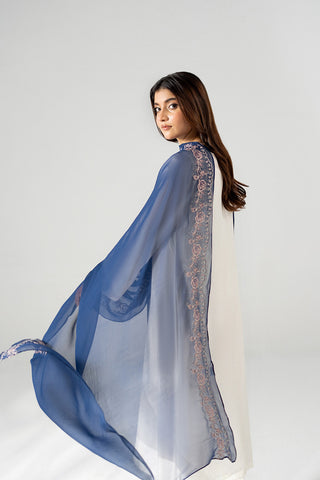 1 Piece Chiffon Embroidered Dupatta (FD0130)