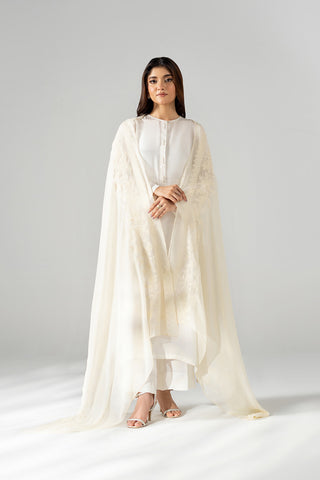 1 Piece Chiffon Embroidered Dupatta (FD0131)