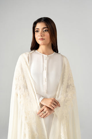 1 Piece Chiffon Embroidered Dupatta (FD0131)