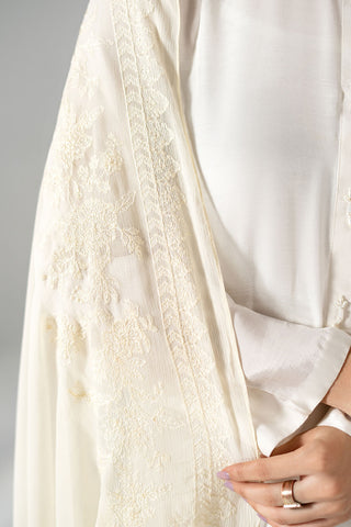 1 Piece Chiffon Embroidered Dupatta (FD0131)