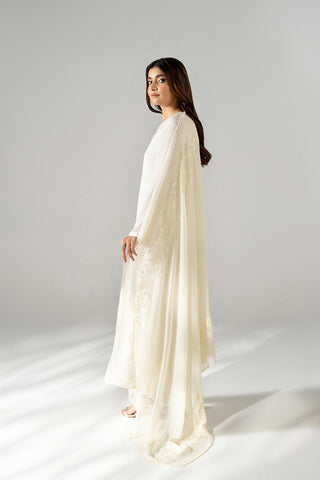 1 Piece Chiffon Embroidered Dupatta (FD0131)