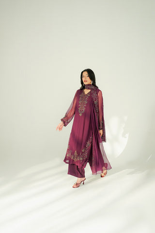 3 Piece Chiffon Embroidered Suit (FL0216)