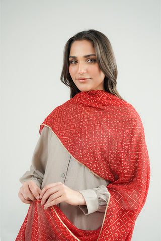 1 Piece Printed Chiffon Printed Stole (CO0031)