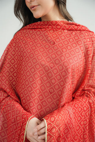 1 Piece Printed Chiffon Printed Stole (CO0031)