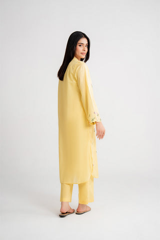 2 Piece Lawn Embroidered Suit (CP0449)