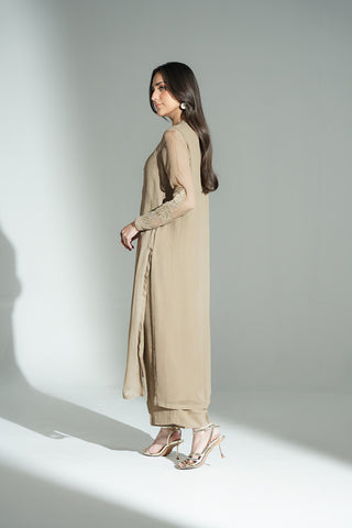 2 Piece Chiffon Embroidered Suit (FL0128)