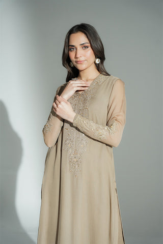 2 Piece Chiffon Embroidered Suit (FL0128)