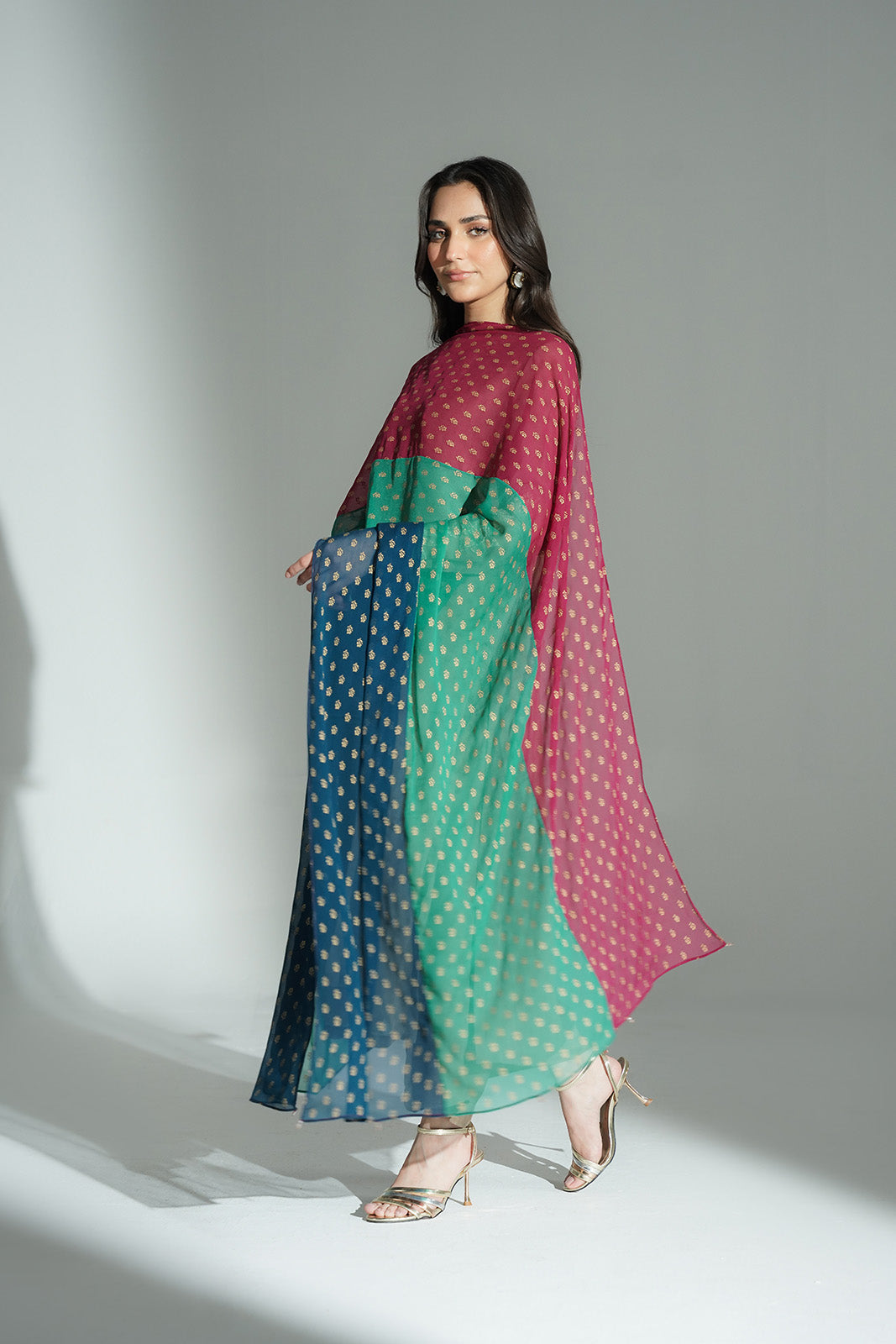 1 Piece Chiffon Embroidered Dupatta (FD0103)