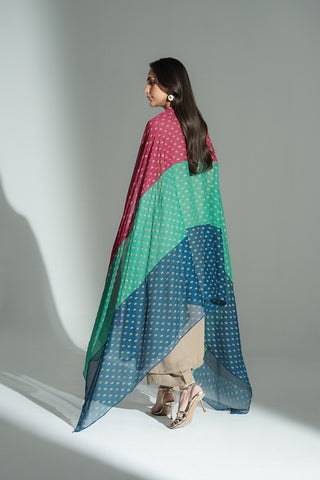 1 Piece Chiffon Embroidered Dupatta (FD0103)