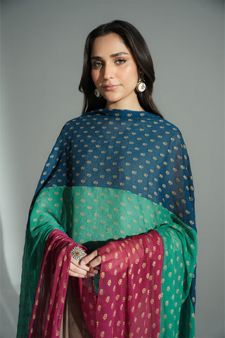 1 Piece Chiffon Embroidered Dupatta (FD0103)