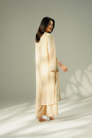 2 Piece Chiffon Embroidered Suit (FL0217)