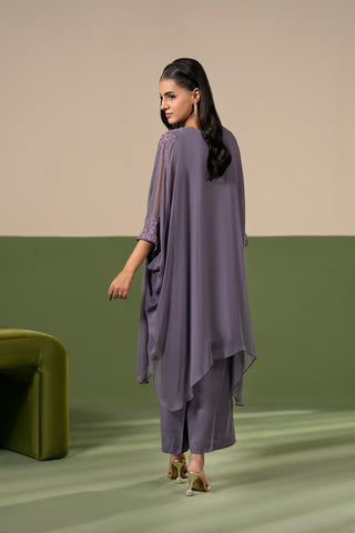 2 Piece Chiffon Embroidered Suit (FS0208)