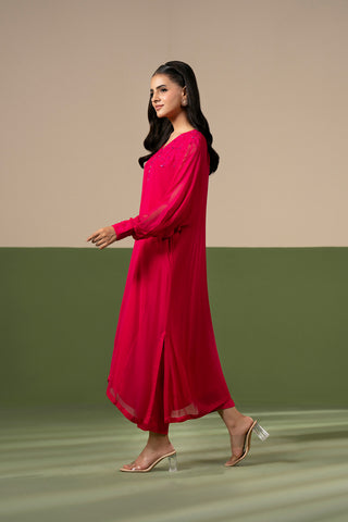 2 Piece Chiffon Embroidered Suit (FL0236)