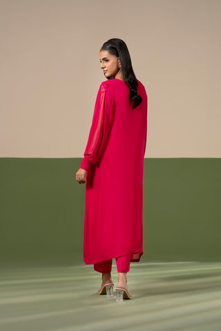 2 Piece Chiffon Embroidered Suit (FL0236)