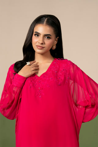 2 Piece Chiffon Embroidered Suit (FL0236)