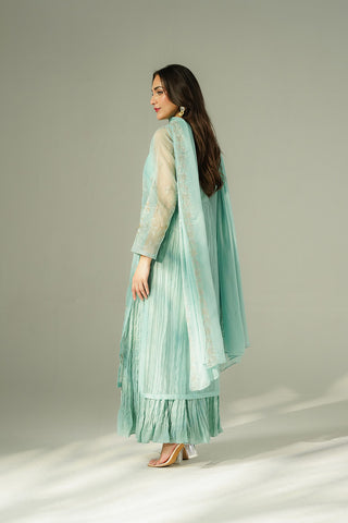 2 Piece Synthetic Organza Embroidered Suit (FW0027)