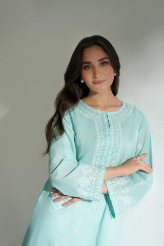 2 Piece Lawn Embroidered Suit (CS0565)