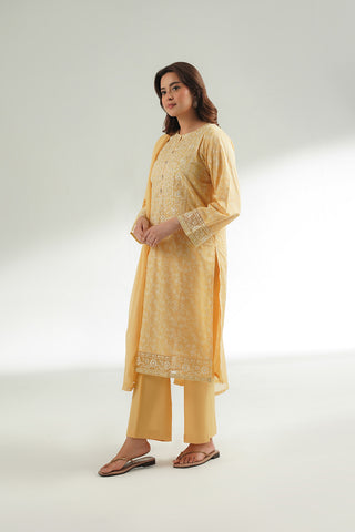3 Piece Printed Lawn Embroidered Suit (CS0573)