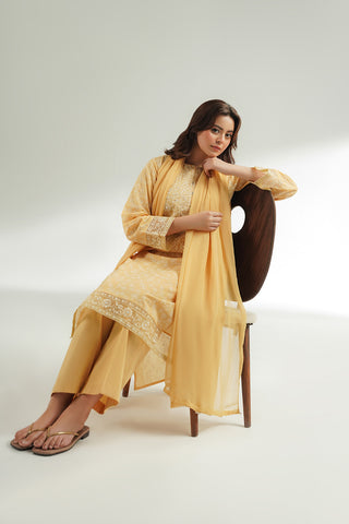 3 Piece Printed Lawn Embroidered Suit (CS0573)