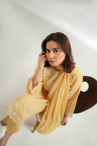 3 Piece Printed Lawn Embroidered Suit (CS0573)