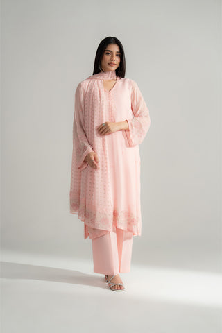 3 Piece Chiffon Embroidered Suit (FL0166)