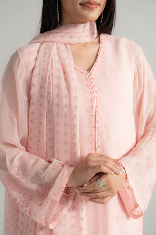 3 Piece Chiffon Embroidered Suit (FL0166)