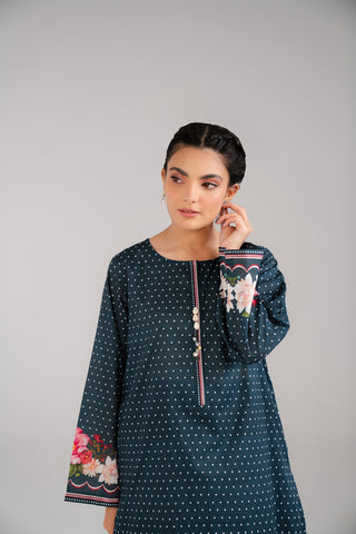 2 Piece Lawn Printed Suit (CP0075)