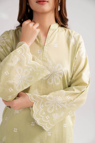 2 Piece Lawn Embroidered Suit (CF0192)