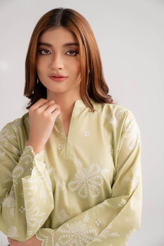 2 Piece Lawn Embroidered Suit (CF0192)