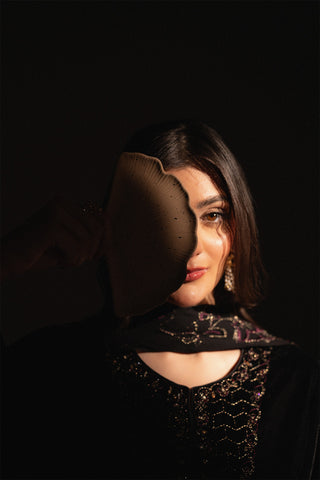 3 Piece Velvet Embroidered Suit (FV0019)