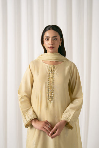 3 Piece Lawn Embroidered Suit (CS0065)