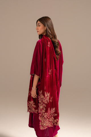 1 Piece Velvet Embroidered Suit (FT0008)