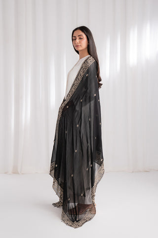 1 Piece Chiffon Embroidered Dupatta (FD0005)