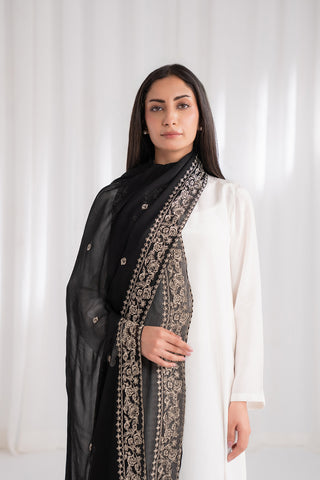 1 Piece Chiffon Embroidered Dupatta (FD0005)