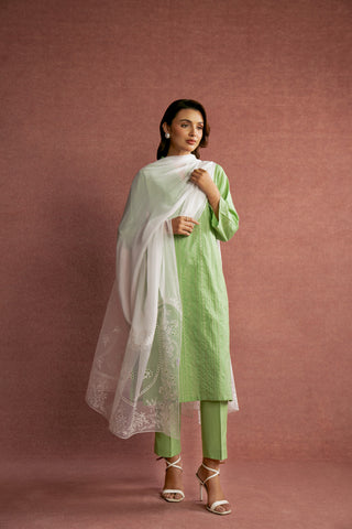 1 Piece Chiffon Embroidered Dupatta (FD0006)