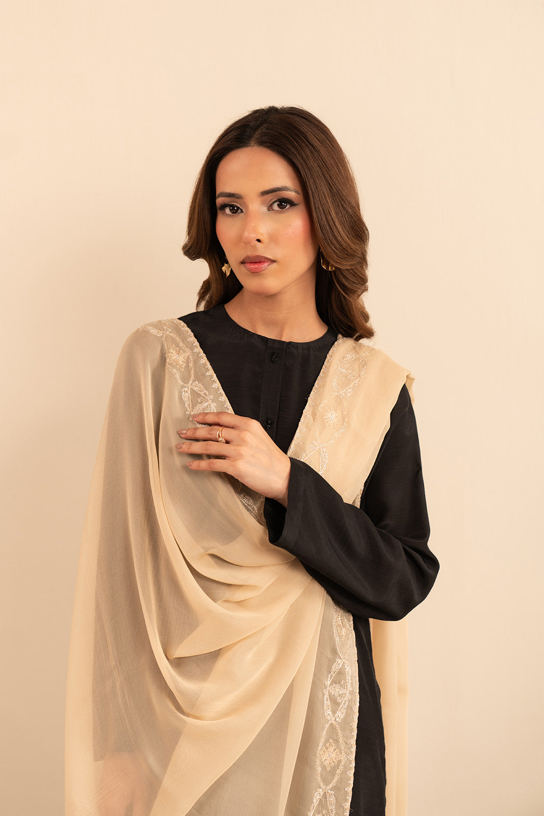 1 Piece Chiffon Embroidered Dupatta (FD0015)