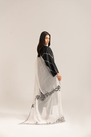 1 Piece Chiffon Embroidered Dupatta (FD0021)