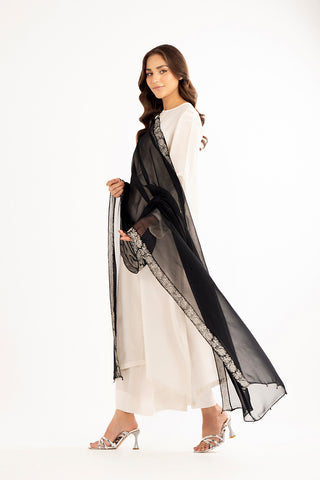 1 Piece Chiffon Embroidered Dupattas/Stoles (FD0038)