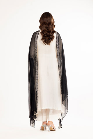 1 Piece Chiffon Embroidered Dupattas/Stoles (FD0038)