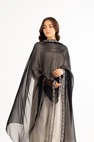 1 Piece Chiffon Embroidered Dupattas/Stoles (FD0038)
