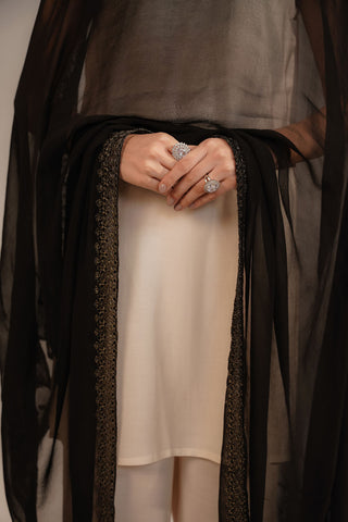 1 Piece Chiffon Embroidered Dupattas/Stoles (FD0065)