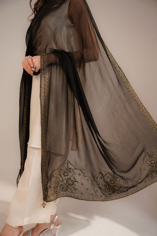 1 Piece Chiffon Embroidered Dupattas/Stoles (FD0065)