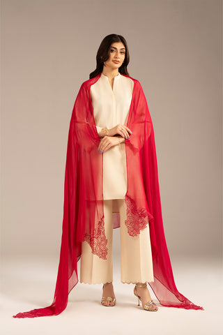 1 Piece Chiffon Embroidered Dupattas/Stoles (FD0068)